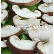 Dehydrated Mushroom Slices 2016 Crop